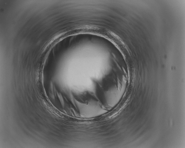 X0000083561017200702231557