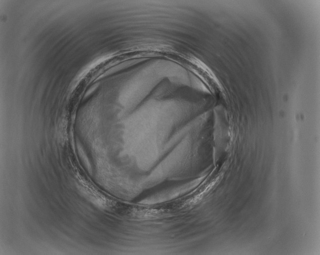 X0000083561019200702231558