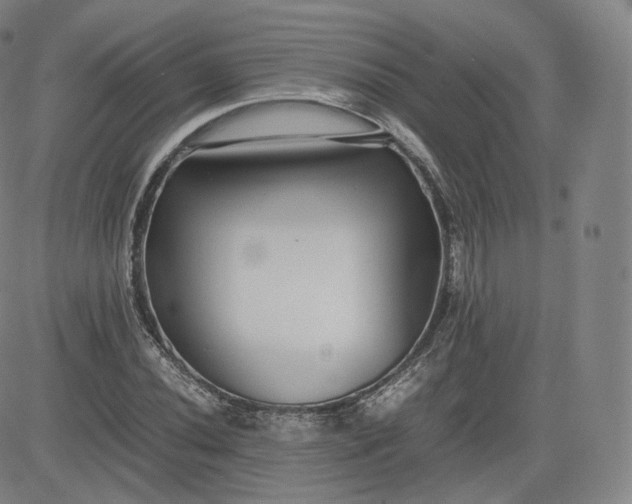 X0000083561020200702231558