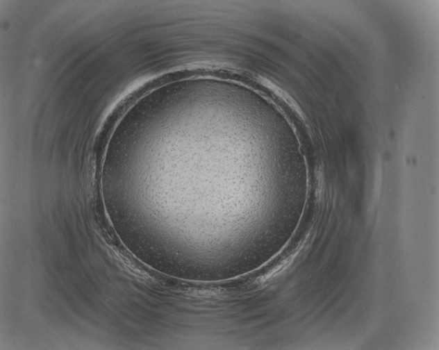 X0000083561021200702231558