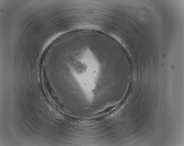 X0000083561022200702231558