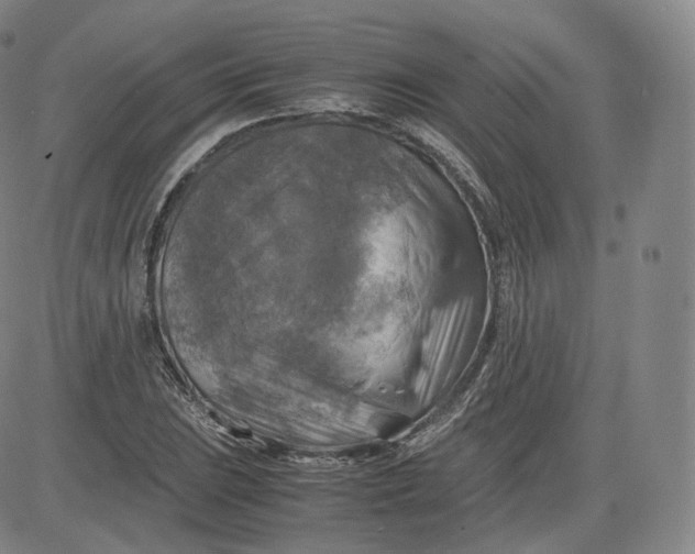 X0000083561023200702231558