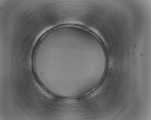 X0000083561024200702231558