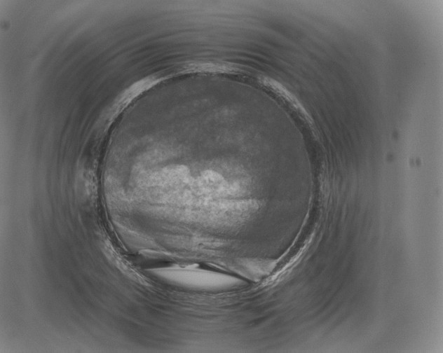 X0000083561025200702231558