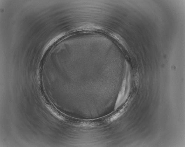 X0000083561026200702231558