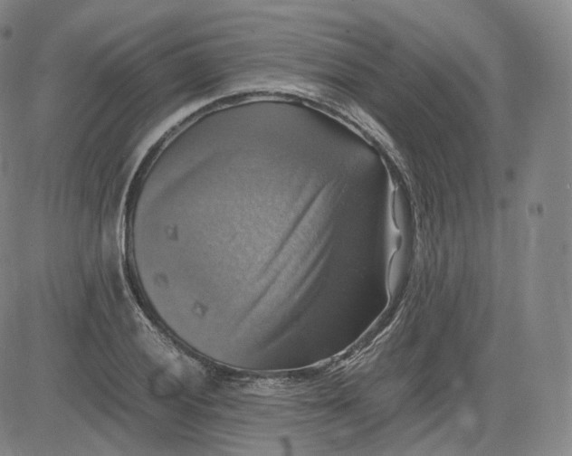 X0000083561028200702231558