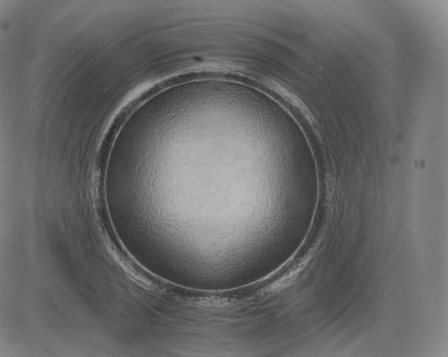 X0000083561029200702231558