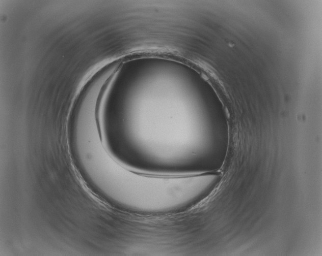 X0000083561030200702231558