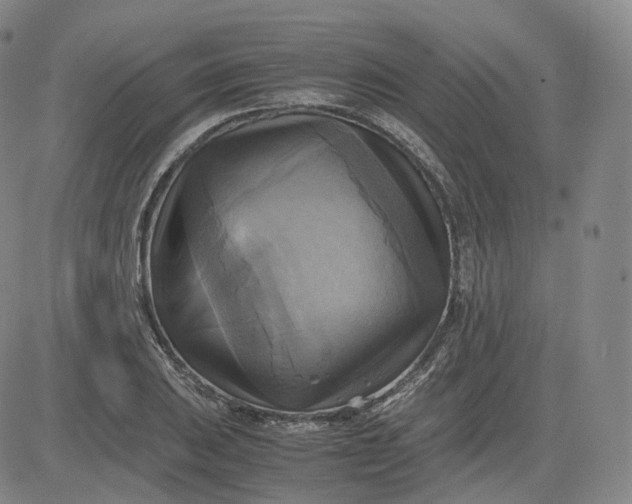 X0000083561031200702231558