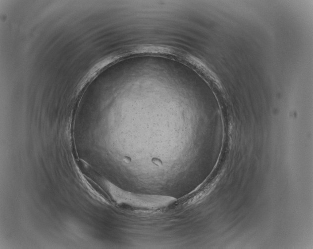 X0000083561033200702231558