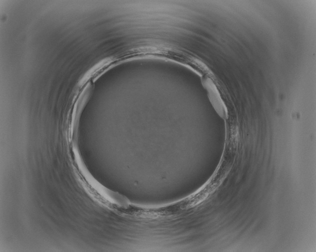 X0000083561034200702231558