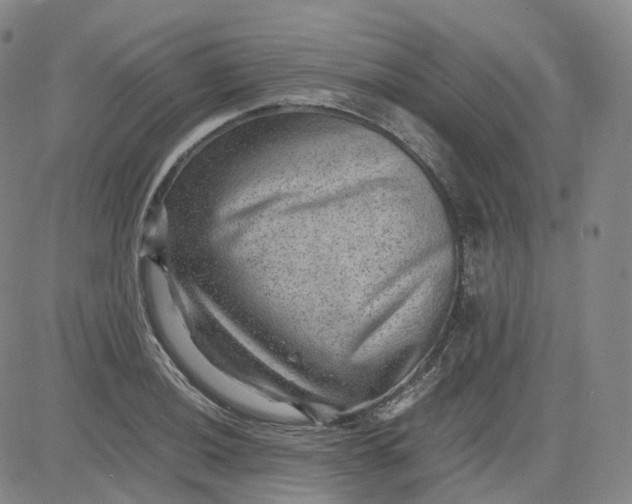 X0000083561036200702231558