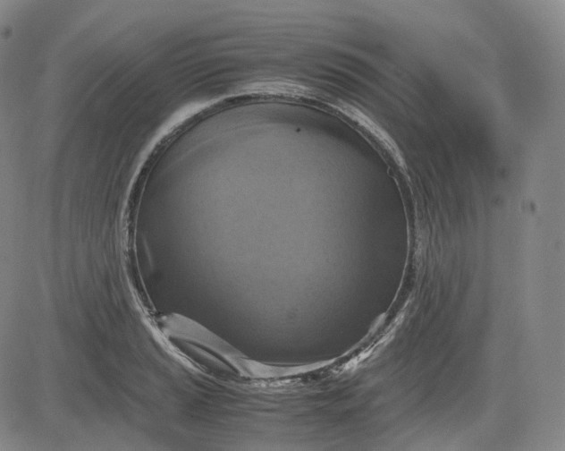 X0000083561037200702231558