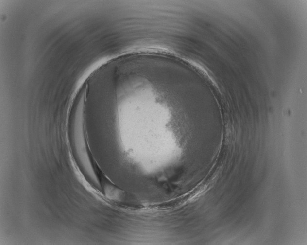 X0000083561038200702231558