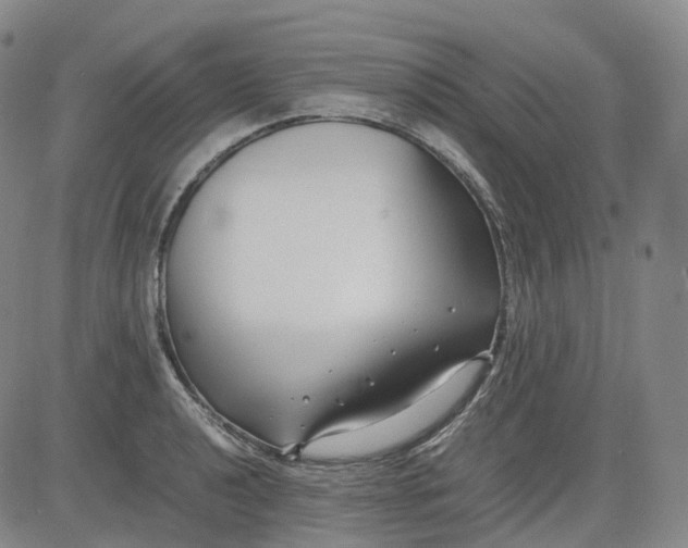 X0000083561040200702231558