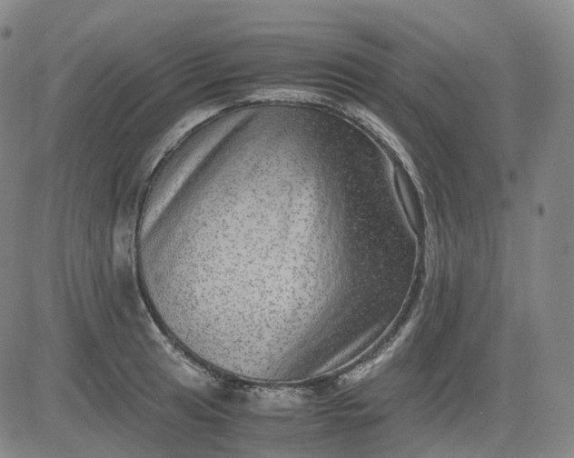 X0000083561041200702231558