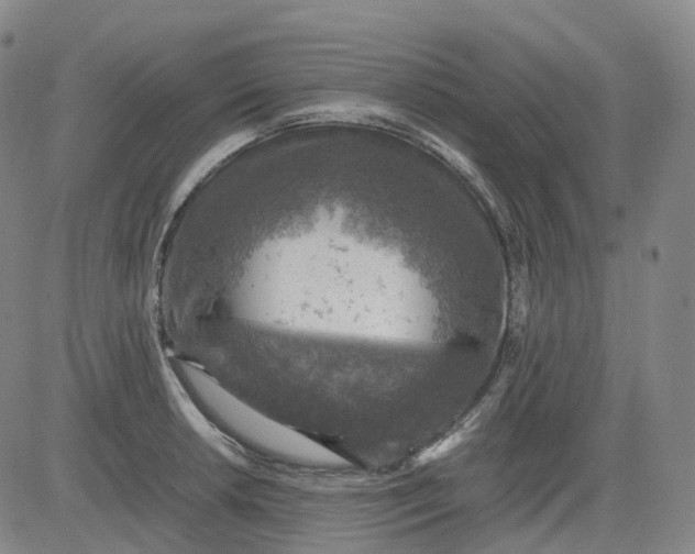 X0000083561042200702231558