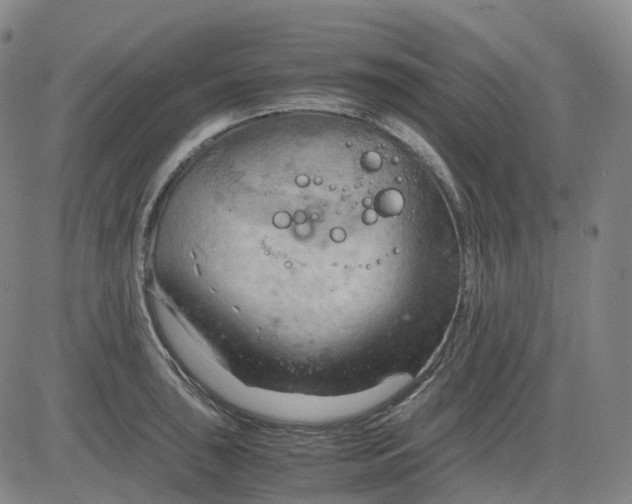 X0000083561043200702231558