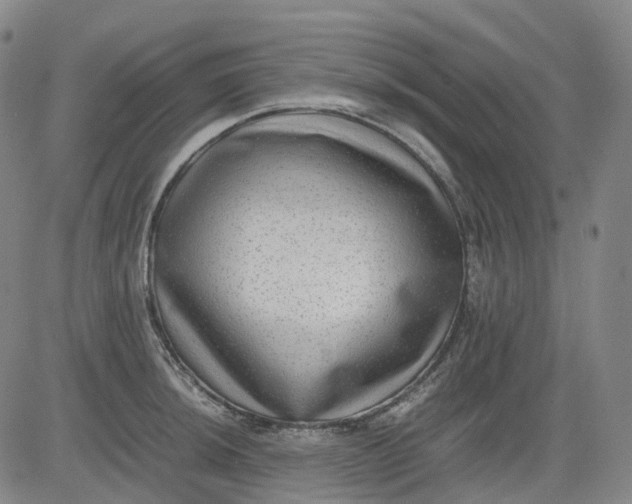 X0000083561044200702231558