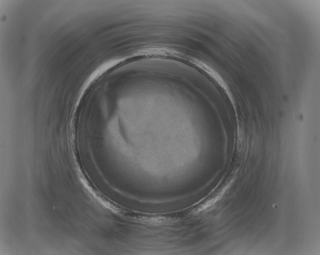 X0000083561045200702231558