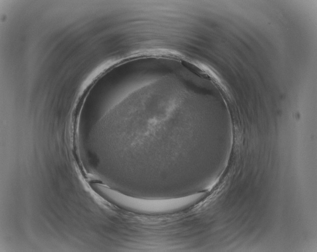 X0000083561046200702231558