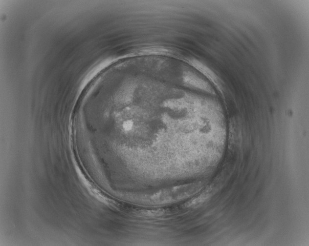 X0000083561047200702231558