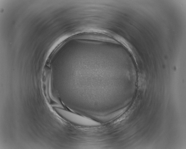 X0000083561048200702231558