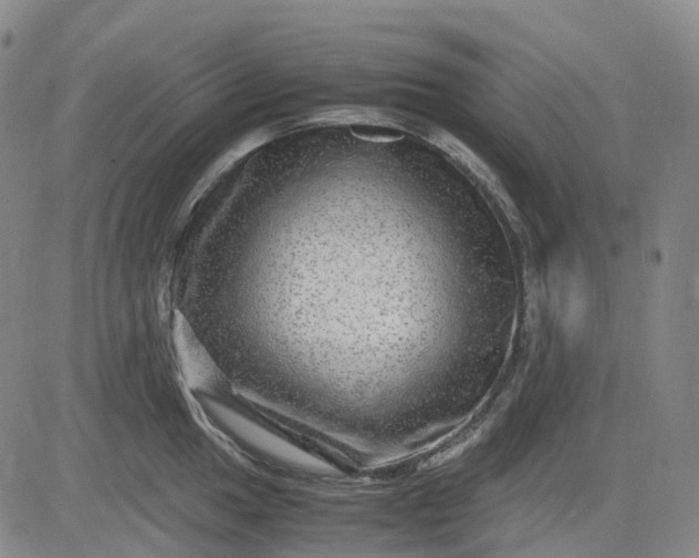 X0000083561049200702231558