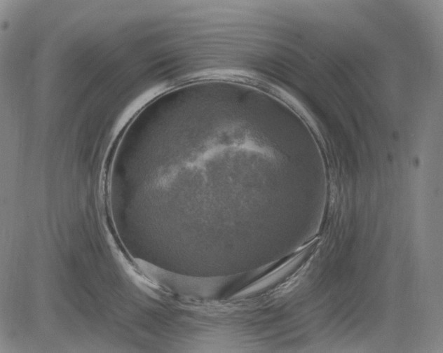 X0000083561050200702231558