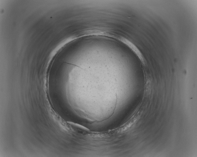 X0000083561051200702231558