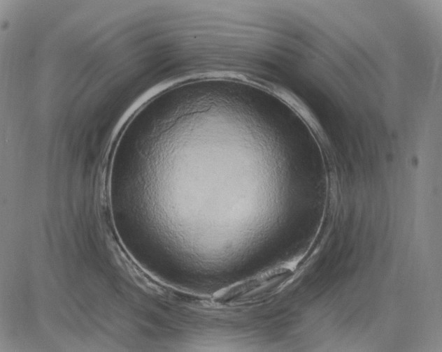 X0000083561052200702231558