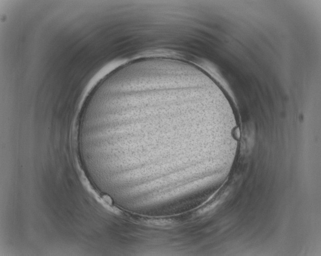 X0000083561053200702231558