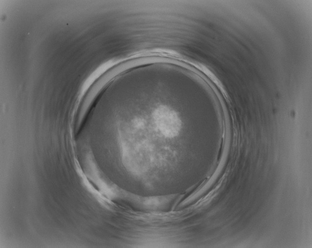 X0000083561054200702231558