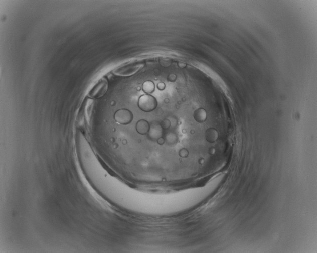 X0000083561055200702231558