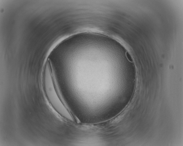 X0000083561056200702231558