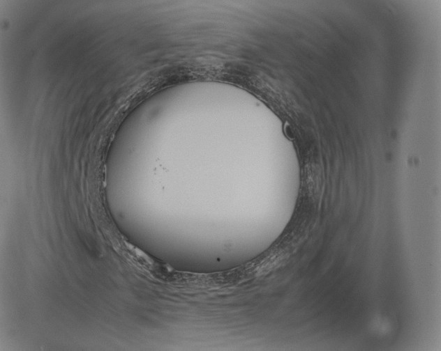 X0000083561057200702231557