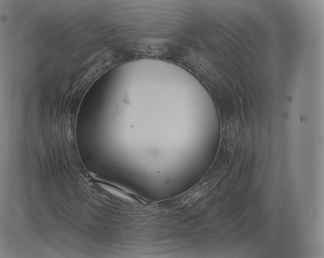 X0000083561058200702231557