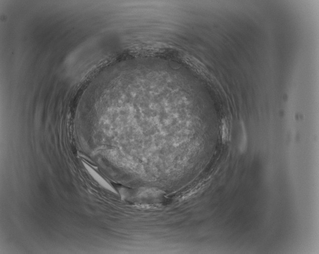 X0000083561059200702231557