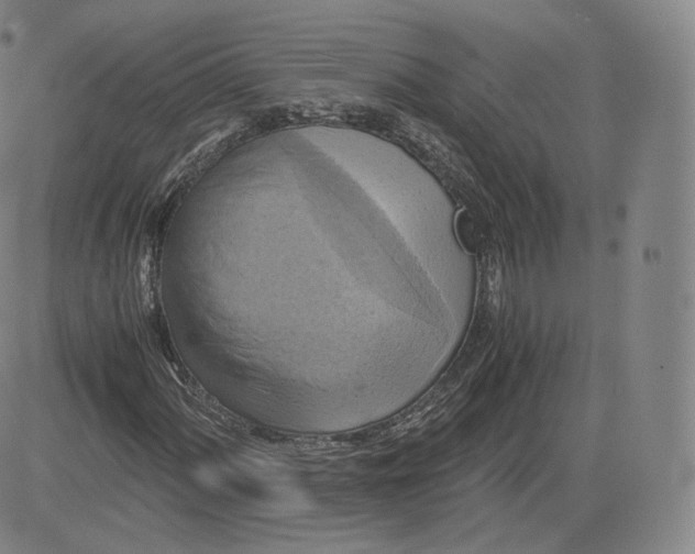 X0000083561060200702231557