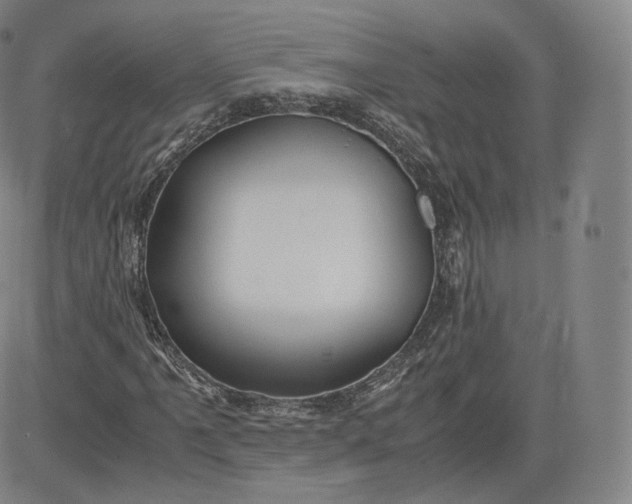 X0000083561061200702231557