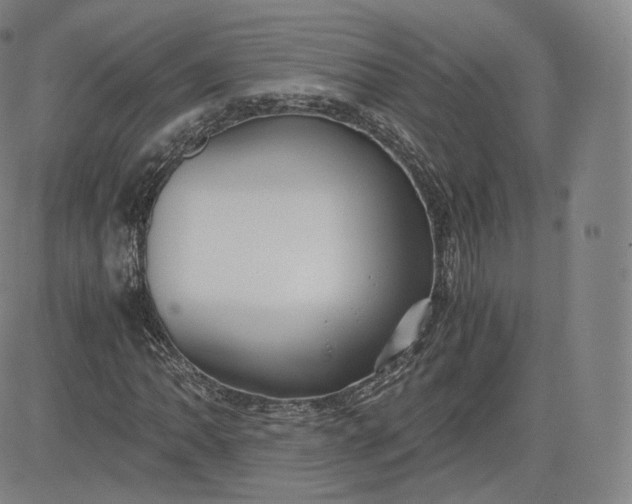 X0000083561062200702231557