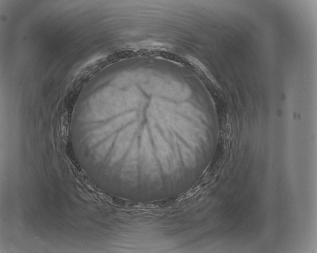 X0000083561063200702231557