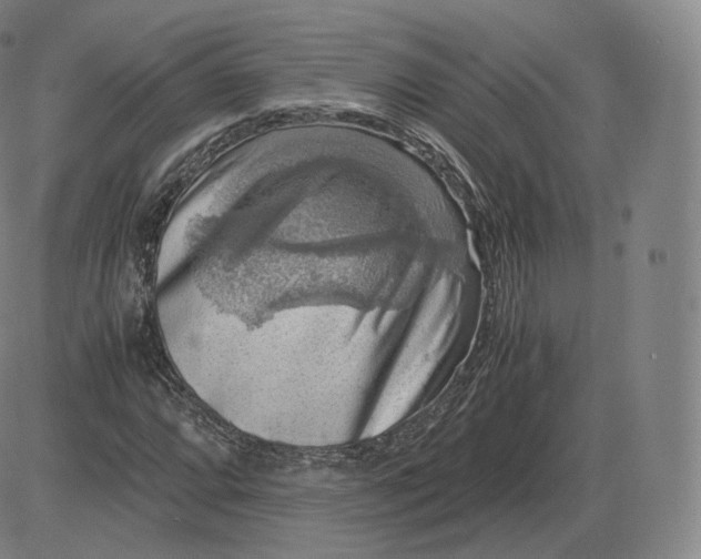 X0000083561064200702231557