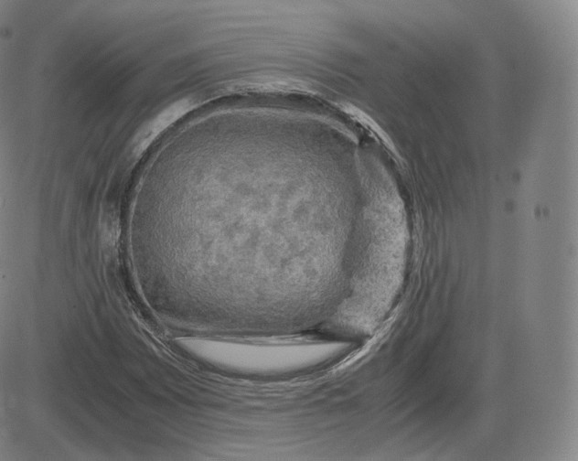 X0000083561065200702231557