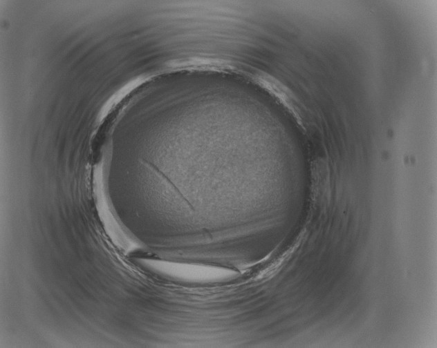 X0000083561066200702231557