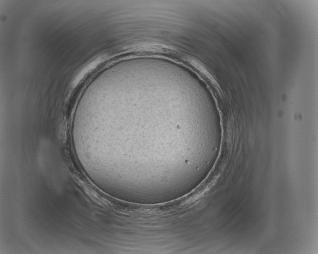 X0000083561067200702231557