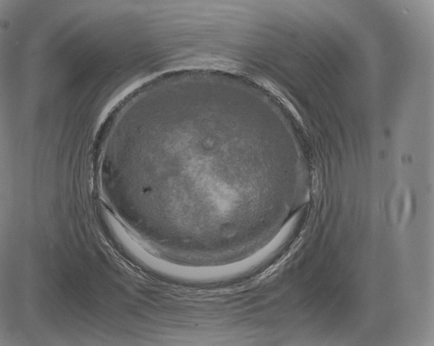 X0000083561069200702231557