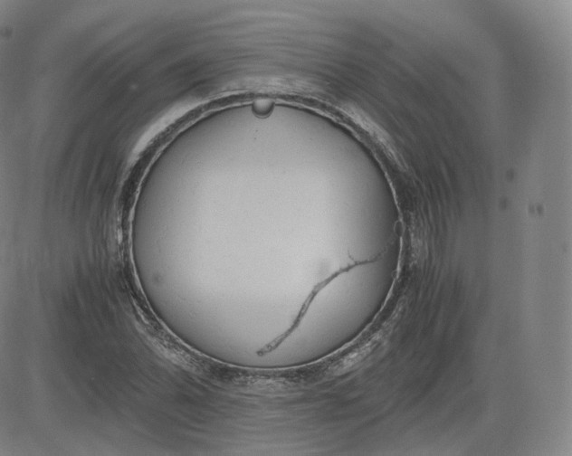 X0000083561070200702231557