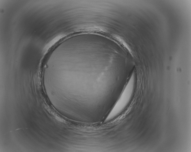 X0000083561071200702231557