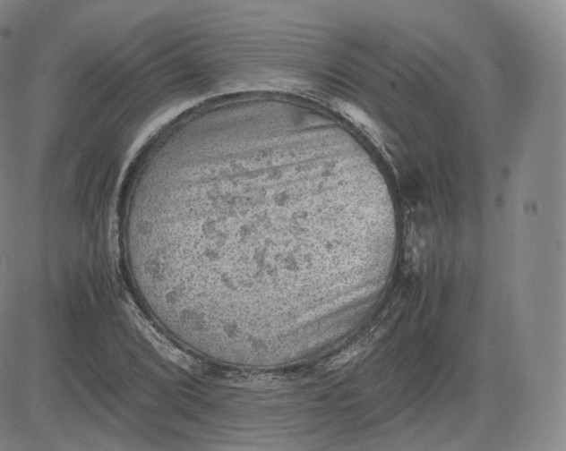 X0000083561072200702231557